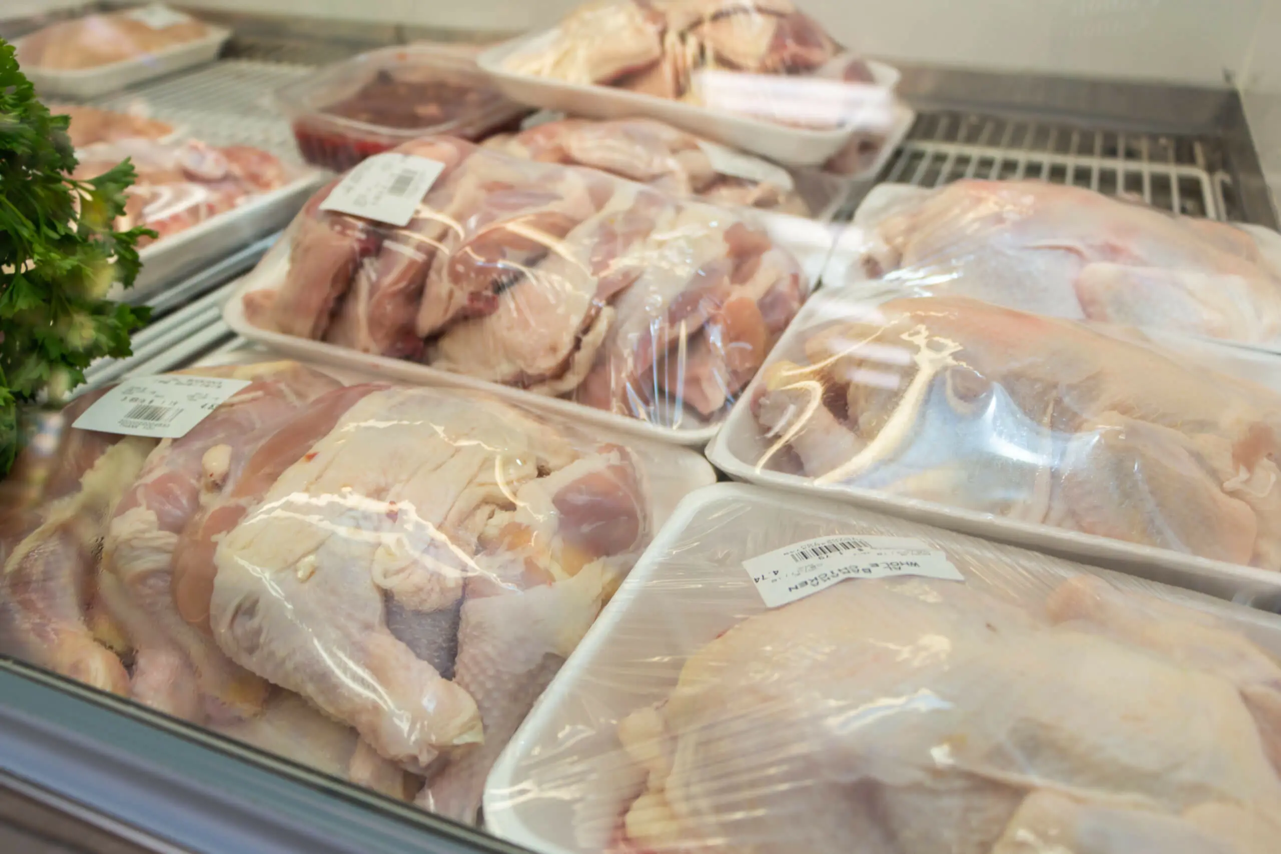 Halal Chicken